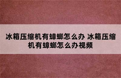 冰箱压缩机有蟑螂怎么办 冰箱压缩机有蟑螂怎么办视频